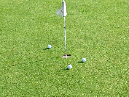 The practice putting green is free.